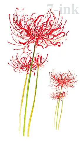 Red Spider Lily Anime Girl