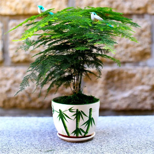 Online Buy Wholesale bamboo plants pots from China bamboo plants pots