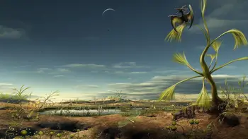 

prehistoric plant swamp backdrop High quality Computer print wall photography backgrounds