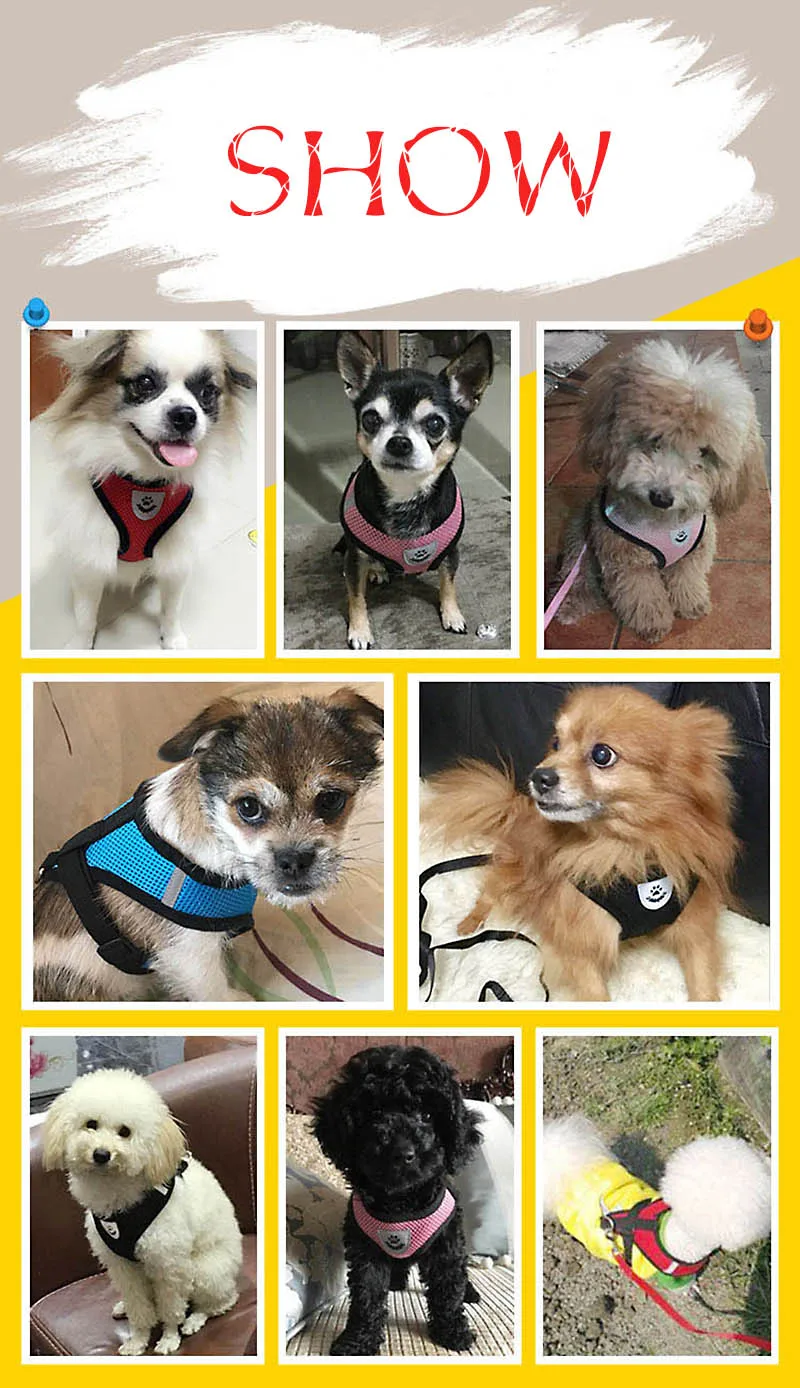 f8dad2ba44dabcea96f8680425f1ef49_HTB1JyXpQMHqK1RjSZFEq6AGMXXaK