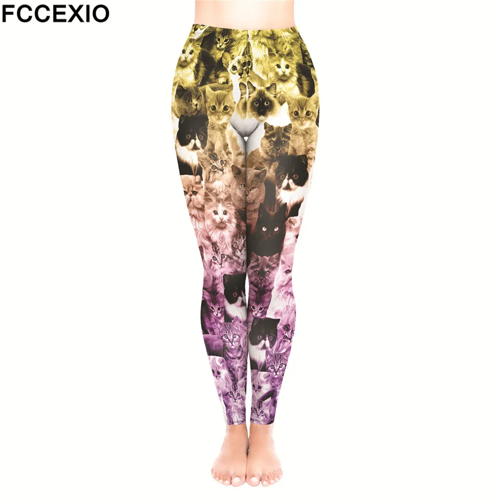 52180 CATS YELLOW VIOLET (1)