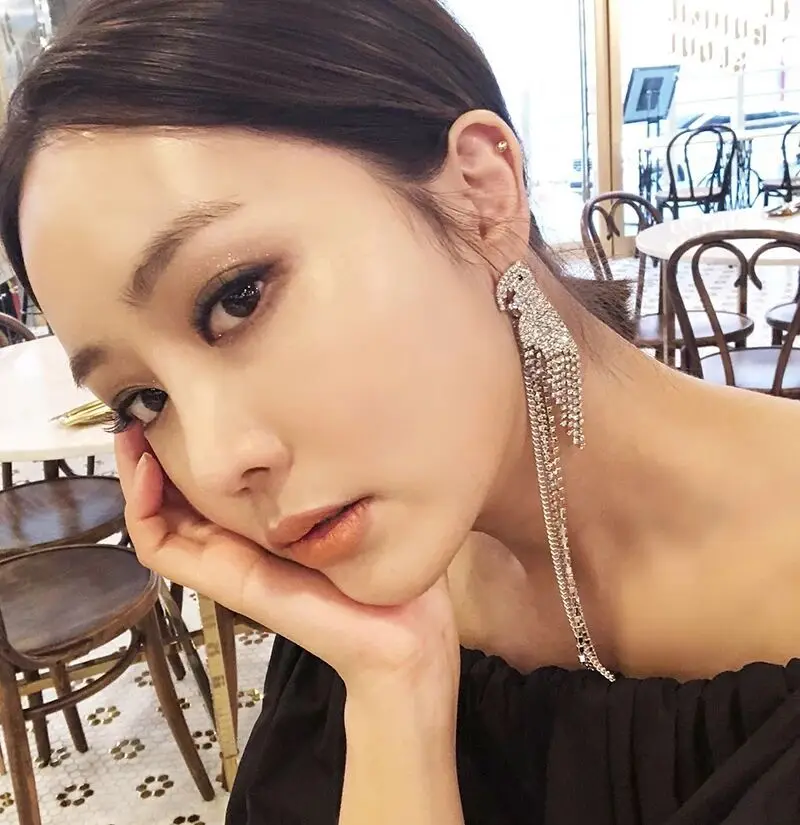 

Net red with the same asymmetrical full drill long fringed parrot earrings female silver pin two wearing earrings 991