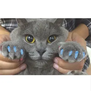 

20Pcs Pet Claw Caps Colorful Pet Paw Covers Pet Nail Grooming Supplies with Glue for Cats