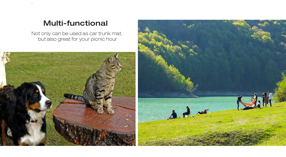 20170612103259_64377