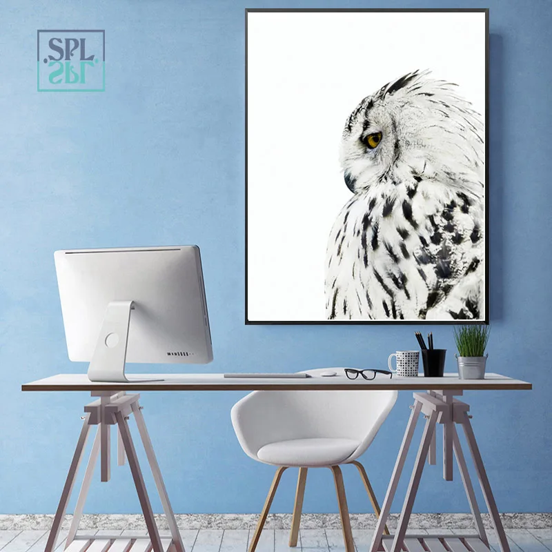 owl5