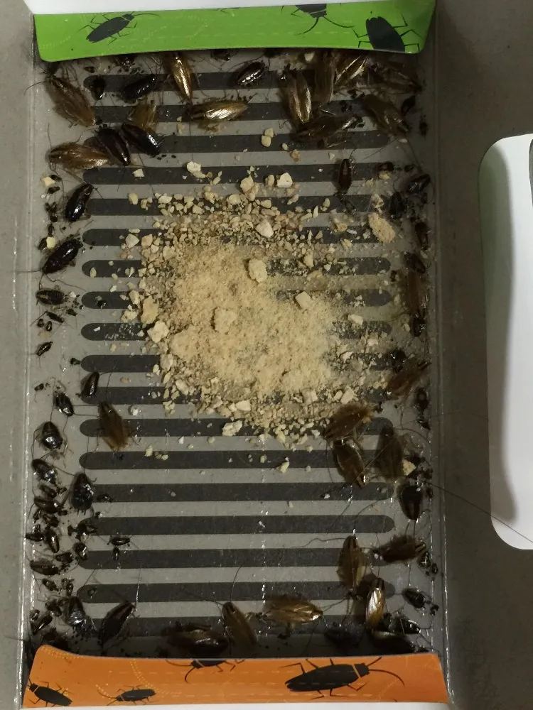 10 Высокое качество тараканов сороконожки муравей Отпугиватель пауков ловушка для борьбы с вредителями сороконожки вредители отпугиватель ловушка для убийц