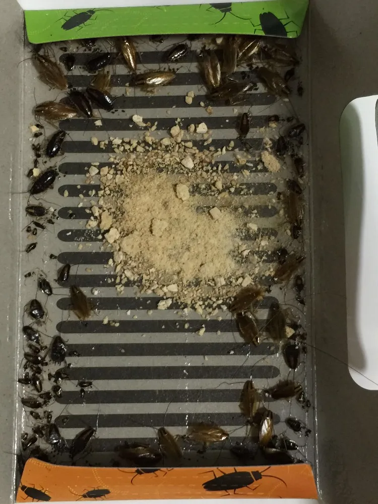 10pcs lot Mr Bug ECO roaches house trap box roach house cockroaches trap roaches houses free shipping! 10pcs lot Mr Bug ECO roaches house trap box roach house cockroaches trap roaches houses free shipping!
