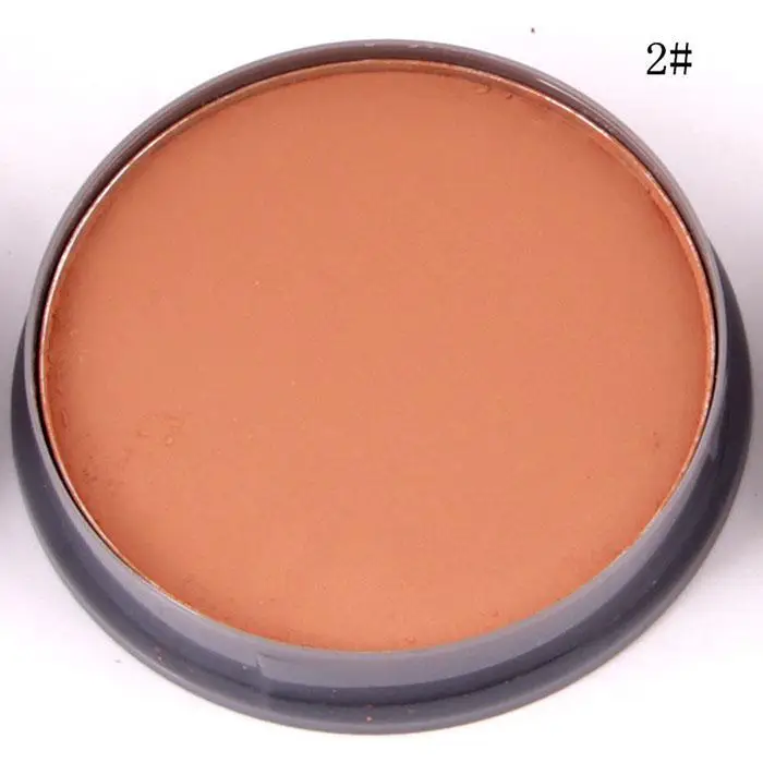 Professional Moisturizing Concealer Facial Powder Oil Control Casual, Party, Dating 64g China Foundation