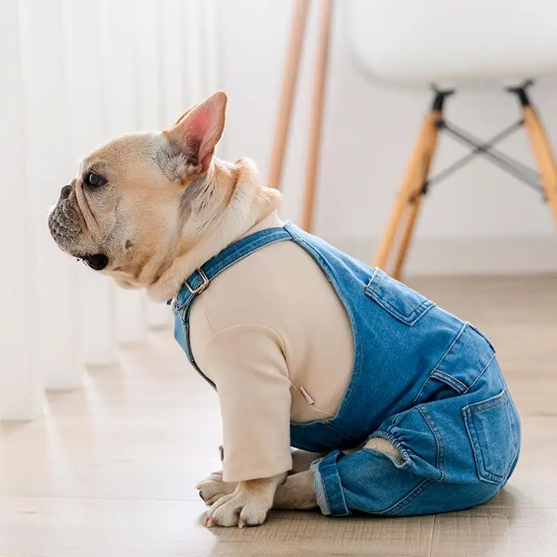 Costume pour online bouledogue francais