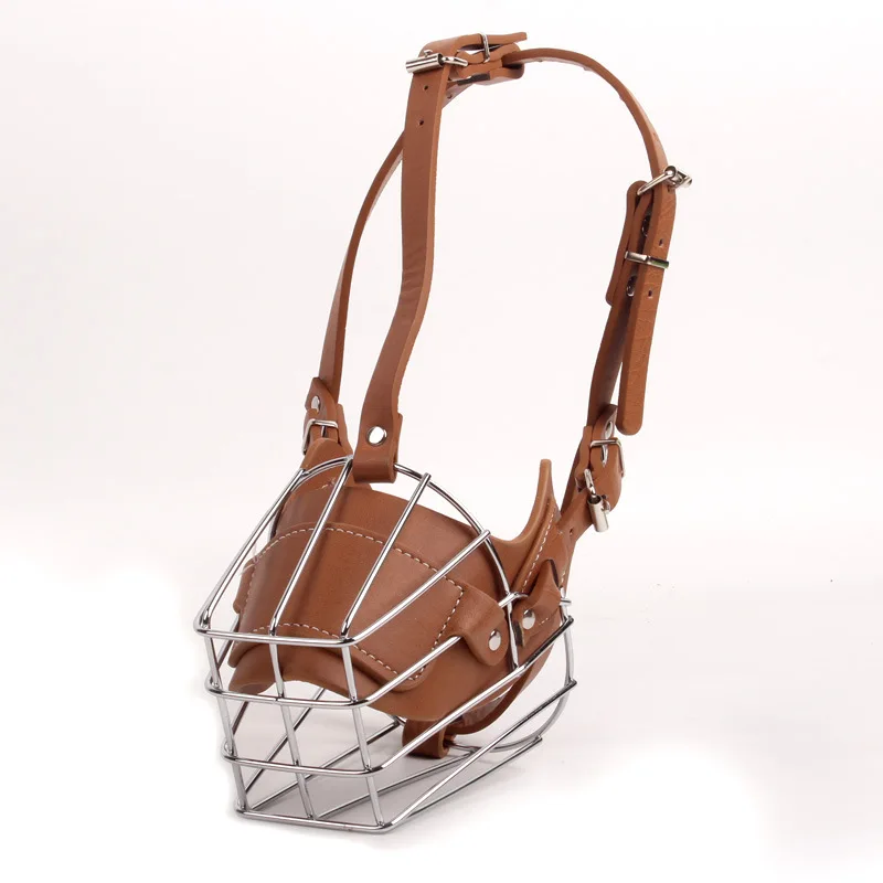 4266420485_621829584