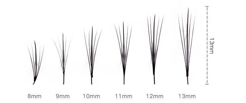 FLATlashes20161021210226