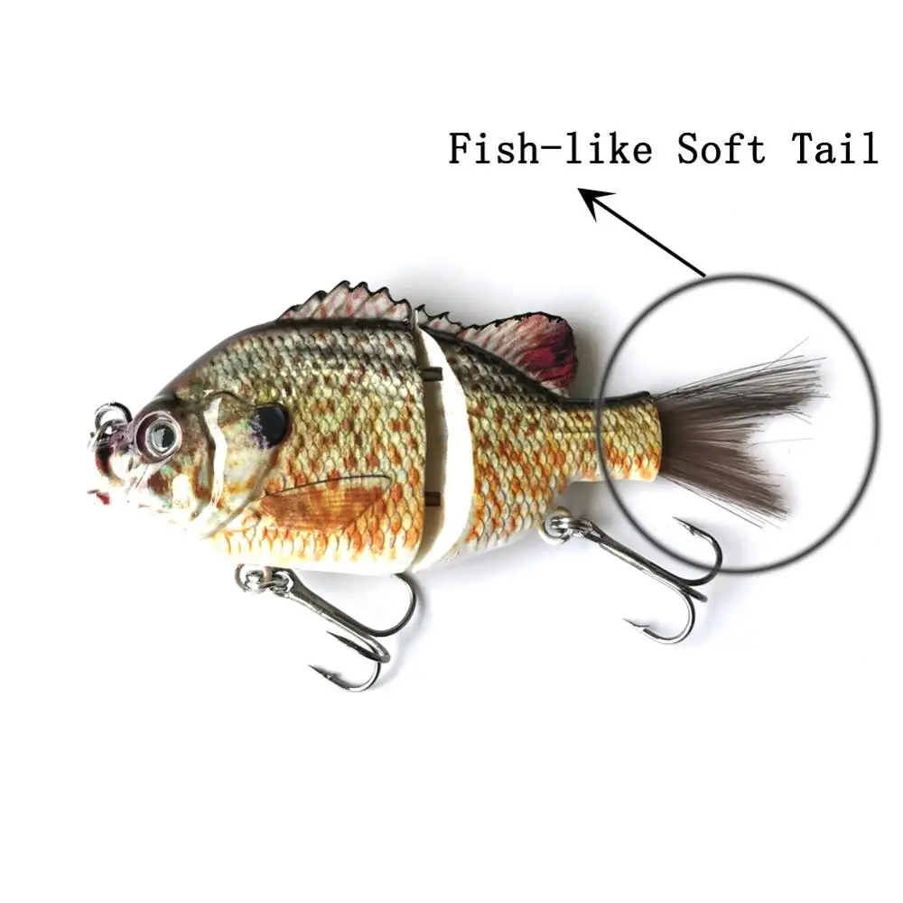2 section sunfish with hair tail (5)