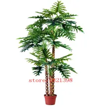 100% Genuine Rare 60pcs 10kinds mix Philodendron seeds, vine leaf, indoor plants Anti Radiation Absorb dust tree seeds