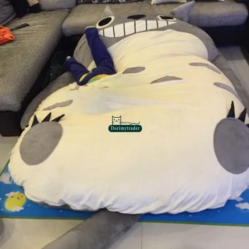 Dorimytrader Japan Anime Totoro Sleeping  (28)