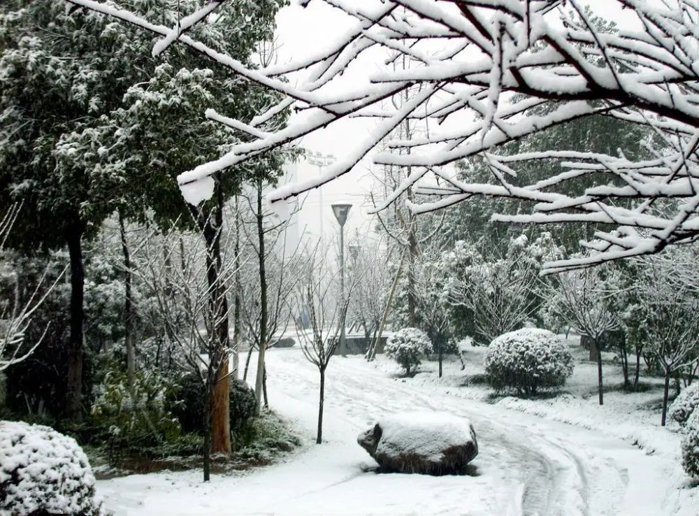 

Snow theme Vinyl Custom Photography Backdrop Photo Studio Backgrounds XJ11