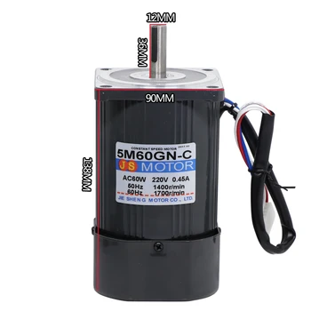 

220V AC Adjusted Speed Motor 60W High Power 1400rpm 2800rp Reversing Micro Motor