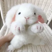 Высококачественный плюшевый кролик, плюшевый кролик, Игрушечный Кролик, реалистичные куклы для детей, игрушки для детей, домашний декор