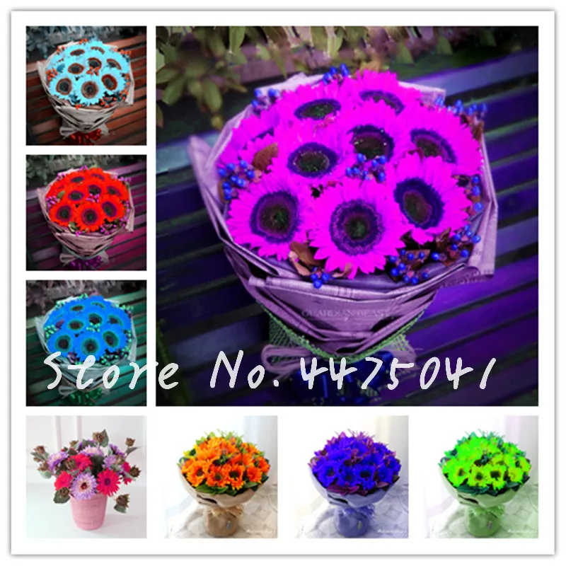 

18 Kind Exotic Sunflower Bonsai Planta Dwarf Bonsai Seedsflower Edible Organic Herbs Garden Ornamental Plants Semillas 40 Pcs