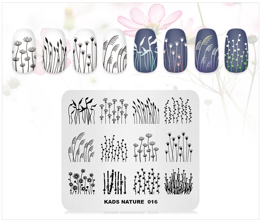NATURE-016 (2)