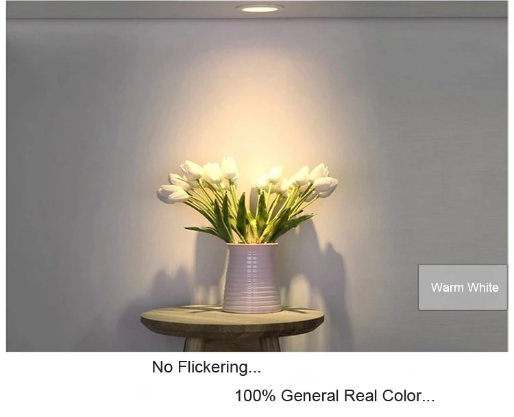 Waterproof downlights  (7)