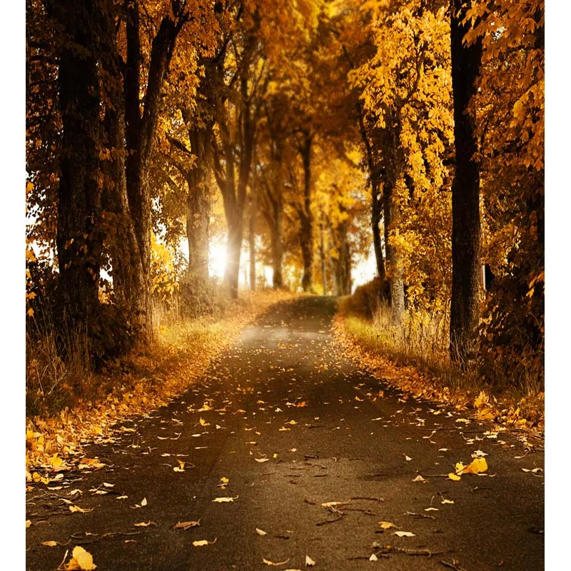 autumn scenic falling leaves