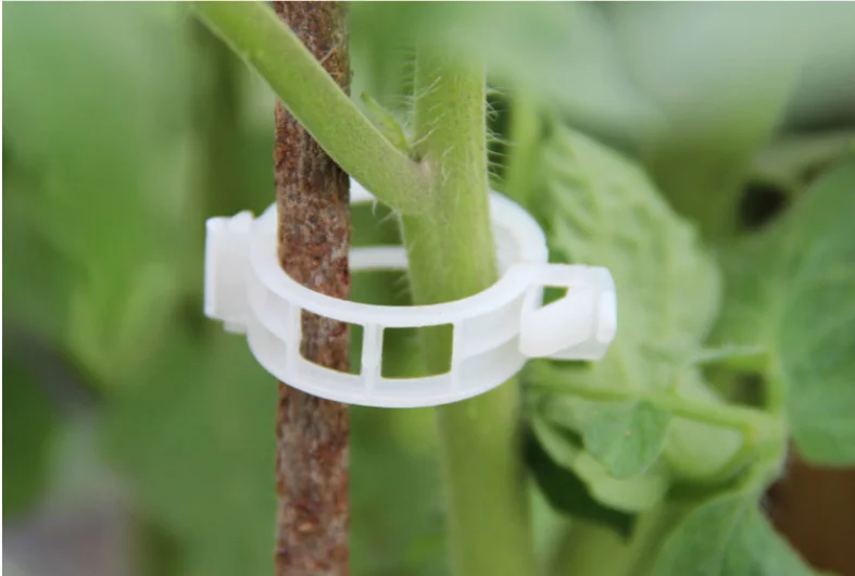 50pcs Durable Plastic Plant Support Clips For Types Plants Hanging Vine Greenhouse Vegetables Garden Ornament