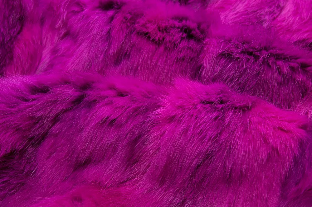 _DSC3917