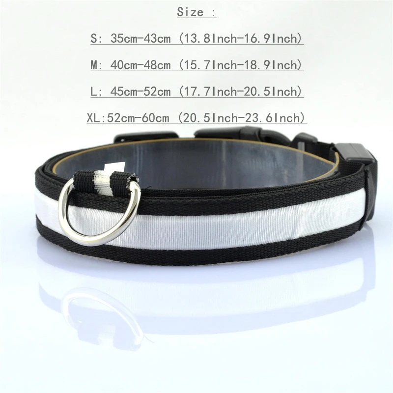 Led Collar 7