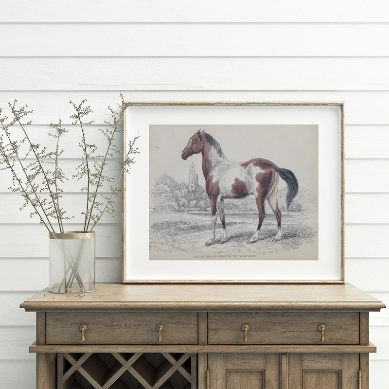 Vintage Drawings Of Horses Wall Art Prints