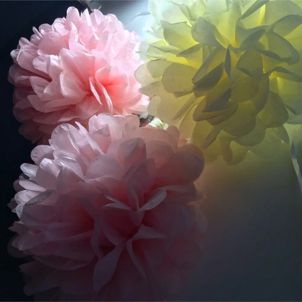 

cute babyshower decoration 25cm 10 inch Tissue Paper Flowers paper pom poms balls lanterns Party Decor Craft Wedding