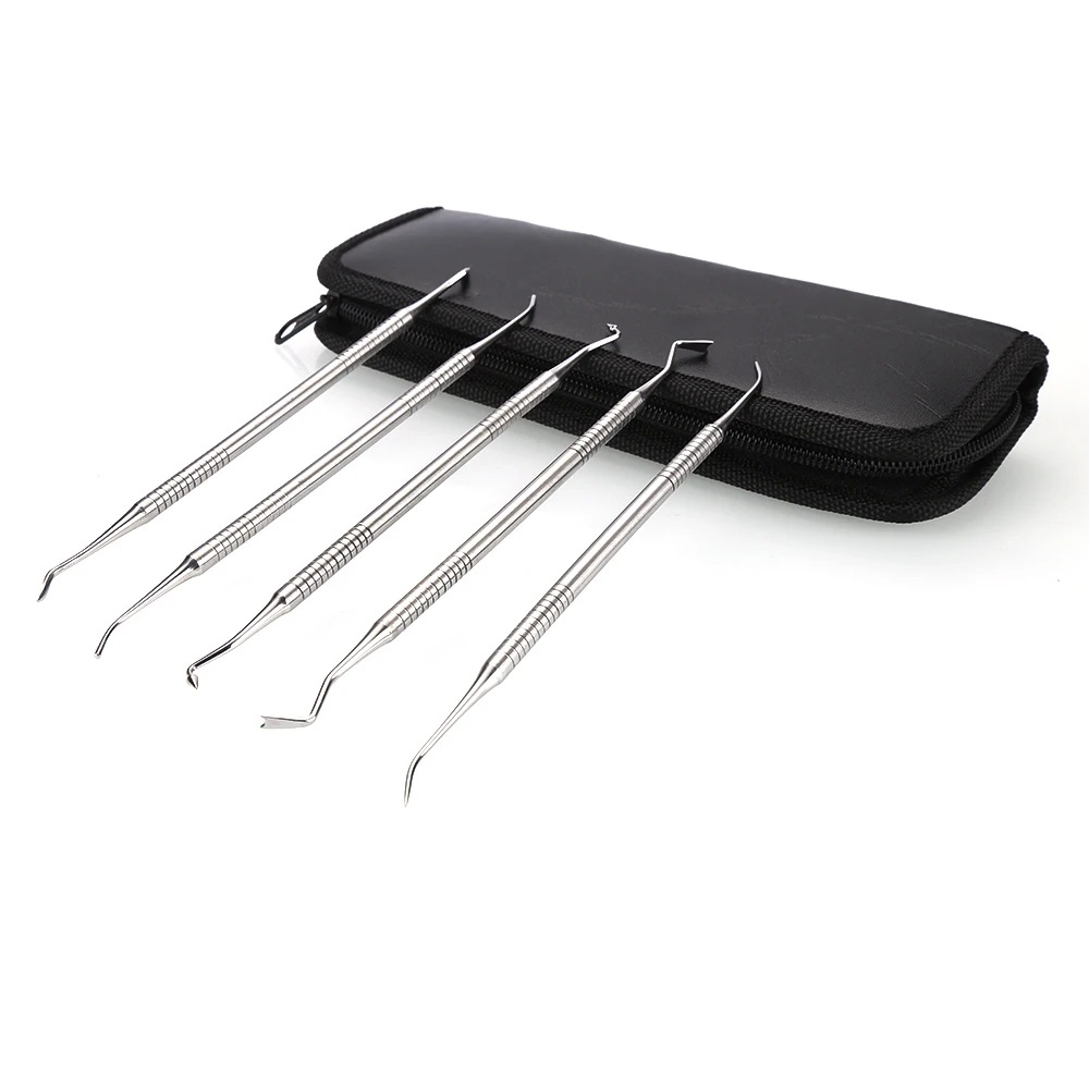 

5 pcs Dental Tooth Pick Probe Set Dental Composite Kit For Making Molds Hygiene Tools High Quality With Bag