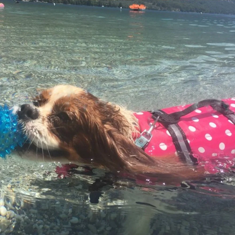 HTB1y8WnKf9TBuNjy1zbq6xpepXax