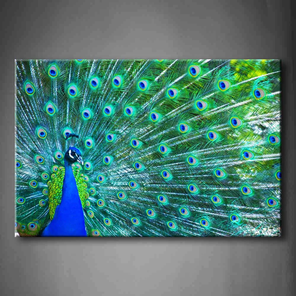 

Framed Wall Art Picture Blue Peacock Canvas Print Artwork Animal Modern Posters With Wooden Frames For Living Room Decor