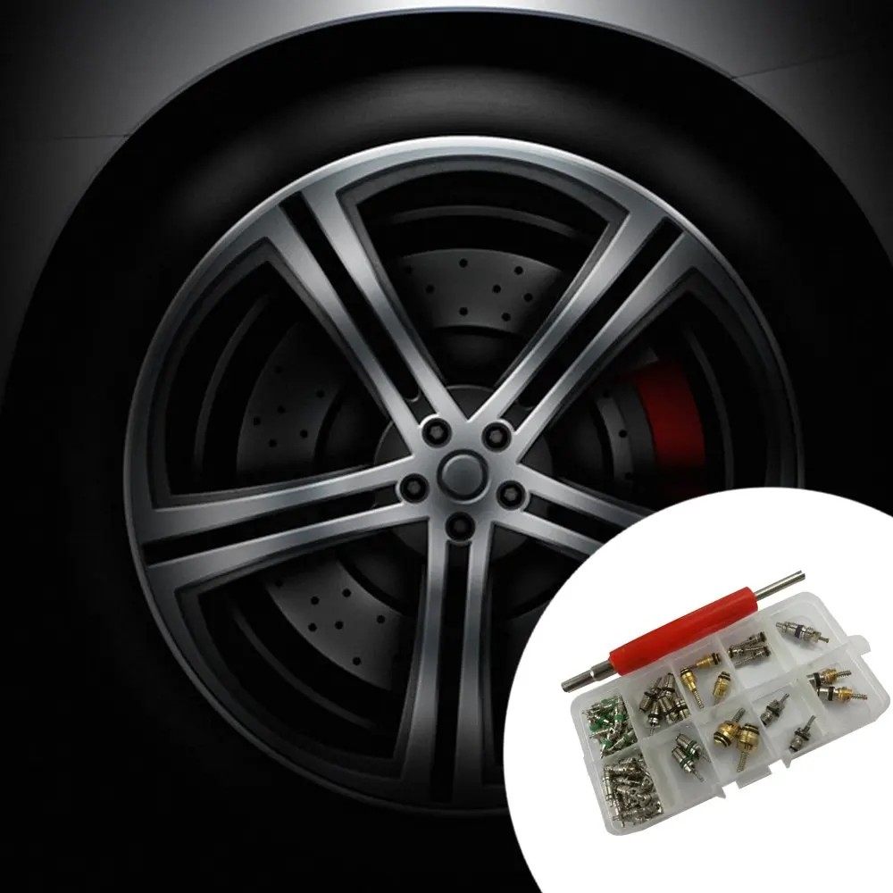 

60 pcs A/C Valve Cores Shrader Valves with Double Head Installer Remover Tire Repair Tool for Motorcycle Car