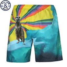 Новые мужские пляжные шорты пляжные брендовые шорты-бермуды Masculina de marca мужские пляжные шорты с 3D принтом животных