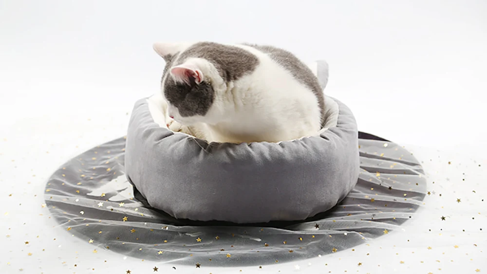 Chenil pour chat hiver chauffant