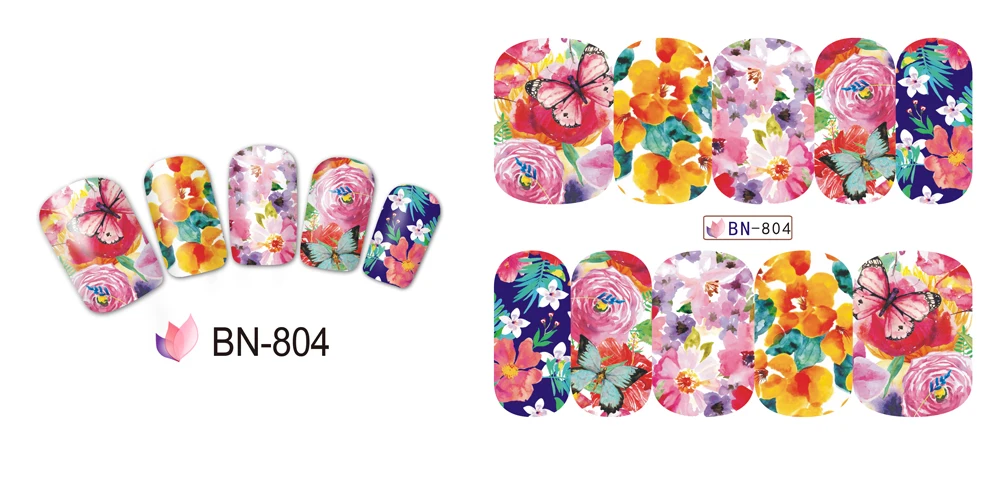 BN804