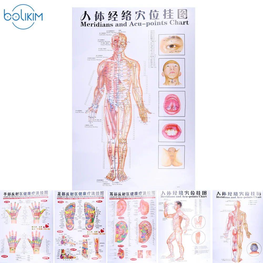 BOLIKIM 6Pcs English Hand&Foot&Ear&body Meridian points of human wall chart female /male acupuncture massage point map flipchart