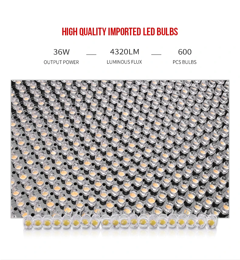 600S_03