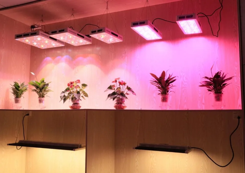 Phlizon, полный спектр, белый цвет, 400 Вт, светодиодный светильник для выращивания растений, для внутреннего сада, для выращивания медицинских растений, для выращивания теплиц в помещении
