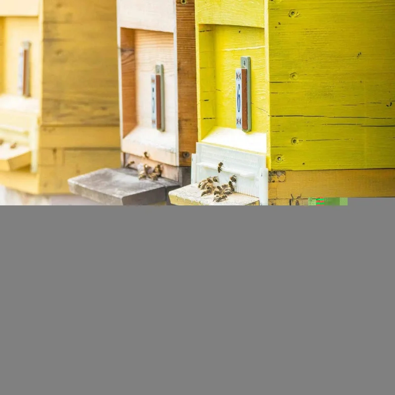 Пчеловодство двойного назначения оцинкованный металл Многофункциональный гнездо дверь свет и прочные инструменты пчеловодства