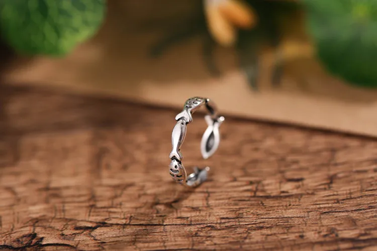 9036477174_823318017[1]_