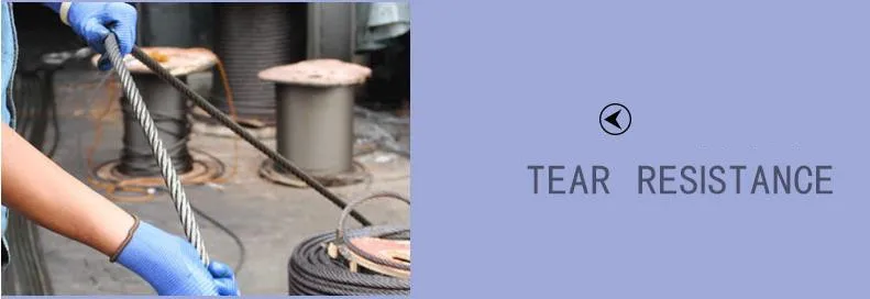 36020190509125110968_