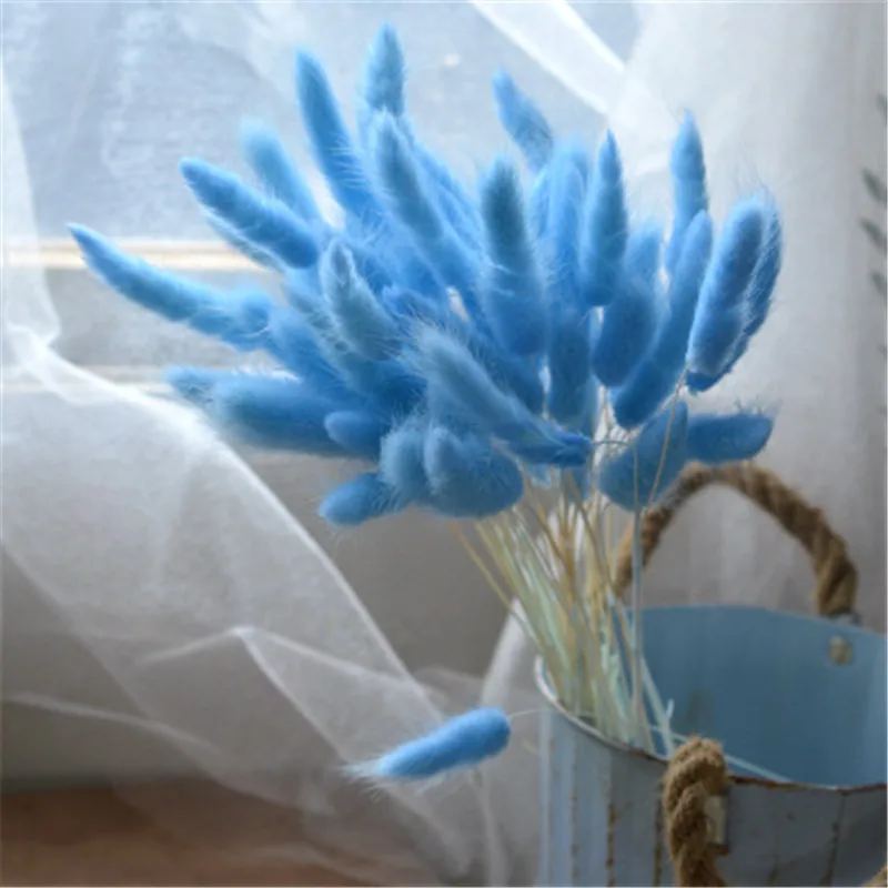 9163990143_120762179.400x400