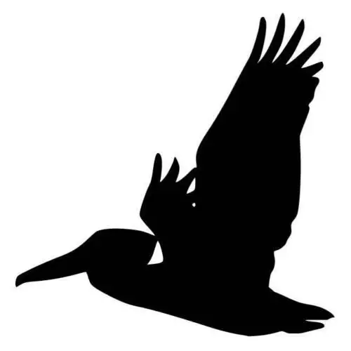 Pelican Silhouette Animals Car Decal Sticker Cool Graphics Be Different