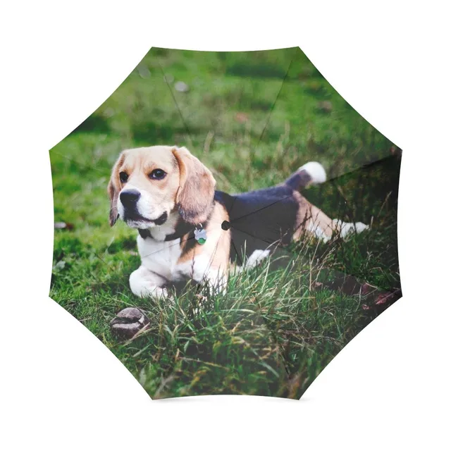 dog sun umbrella