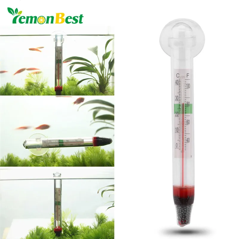Maina Floating Themomete With Suction Cup