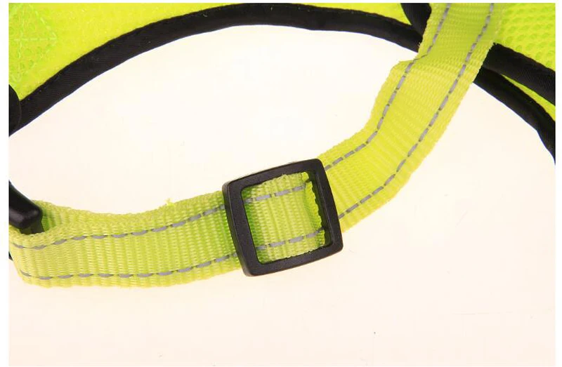 dog supplies  (19)