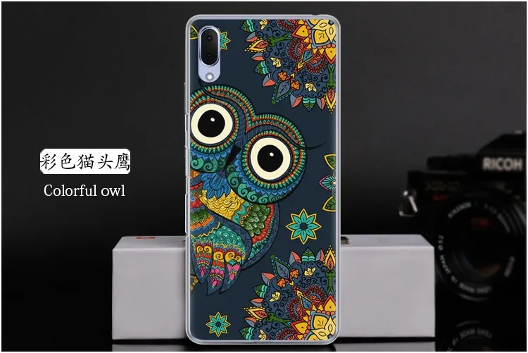  Colorful owl