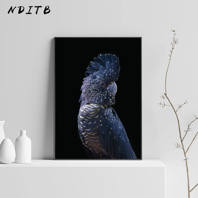 Black and White Canvas Poster Animal Cockatoo Bird Print Wall Art Painting Nordic Decoration Picture Modern Lving Room Decor